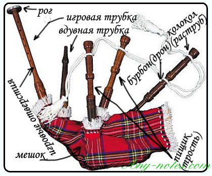 строение волынки строение волынки